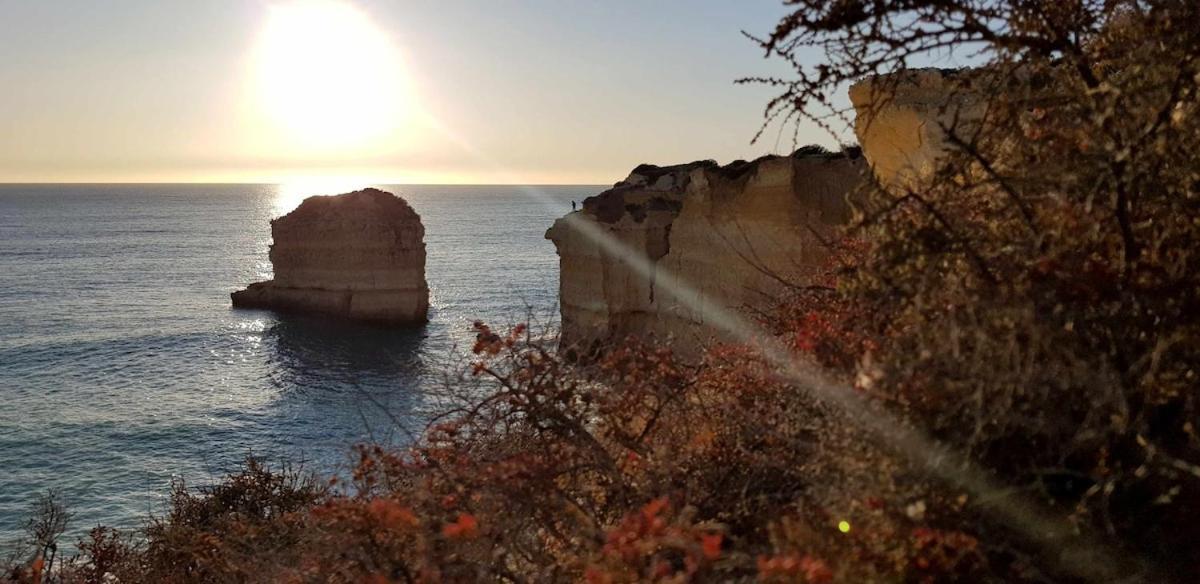 شقة Albufeira Sea View المظهر الخارجي الصورة