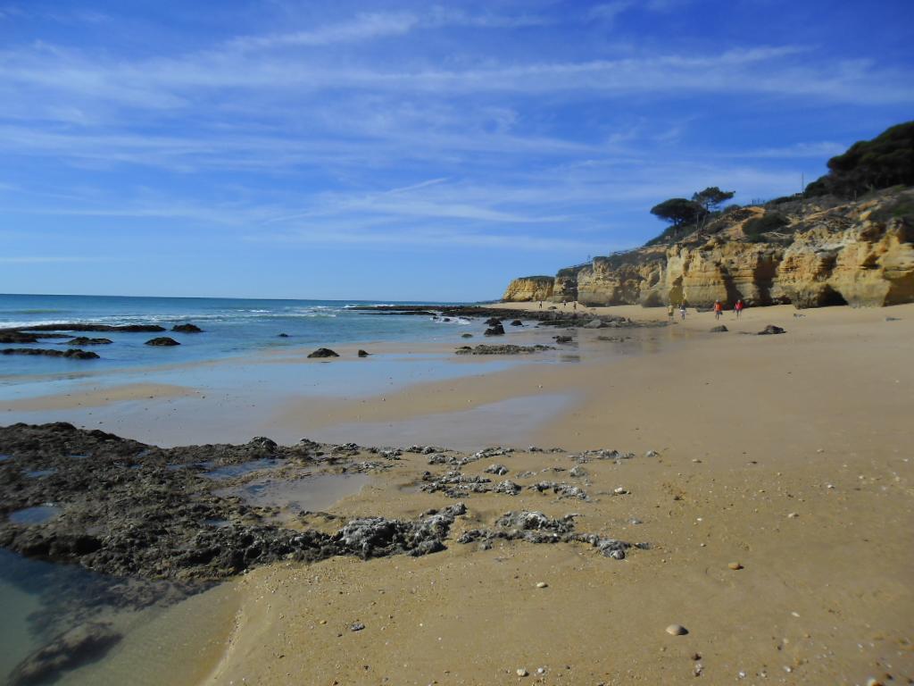 شقة Albufeira Sea View المظهر الخارجي الصورة